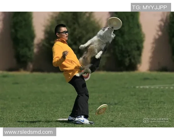 重庆飞盘队在极限运动世界杯中的精彩节奏与表现分析