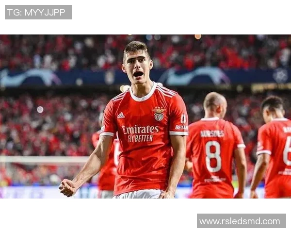 德甲激战：巴黎圣日耳曼大胜本菲卡引发全场惊叹赛后深度解析